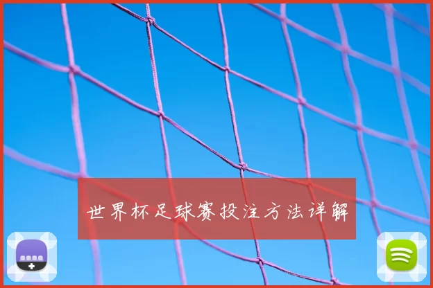 世界杯足球赛投注方法详解
