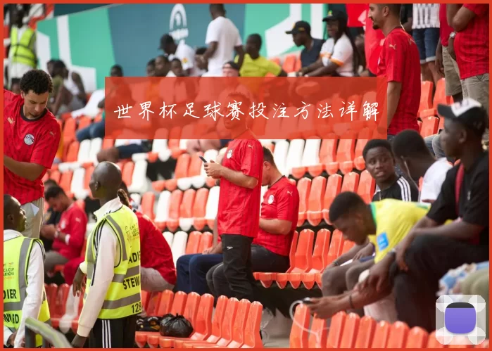 世界杯足球赛投注方法详解