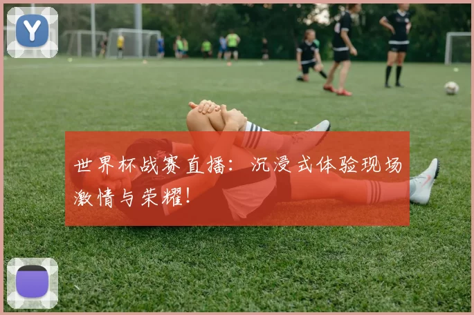 世界杯战赛直播：沉浸式体验现场激情与荣耀！