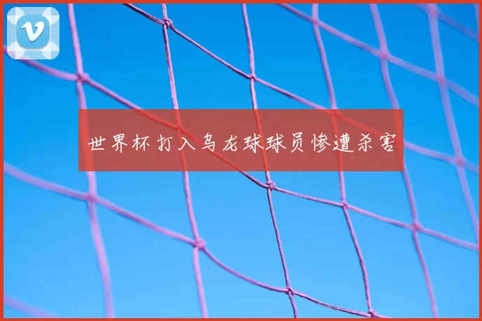 世界杯打入乌龙球球员惨遭杀害