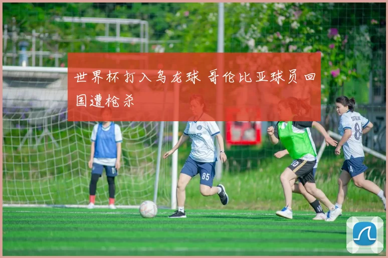 世界杯打入乌龙球 哥伦比亚球员回国遭枪杀