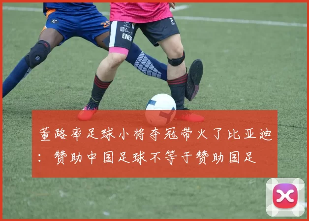 董路率足球小将夺冠带火了比亚迪:赞助中国足球不等于赞助国足