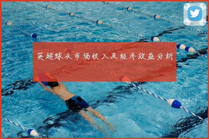 英超球衣市场收入及经济效益分析