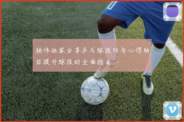 杨伟独家分享乒乓球技巧与心得助你提升球技的全面指南