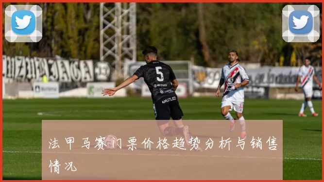 法甲马赛门票价格趋势分析与销售情况