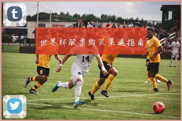 世界杯股票购买渠道指南