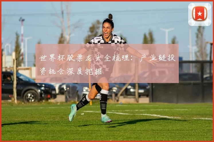 世界杯股票龙头全梳理：产业链投资机会深度挖掘