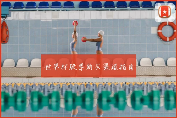 世界杯股票购买渠道指南