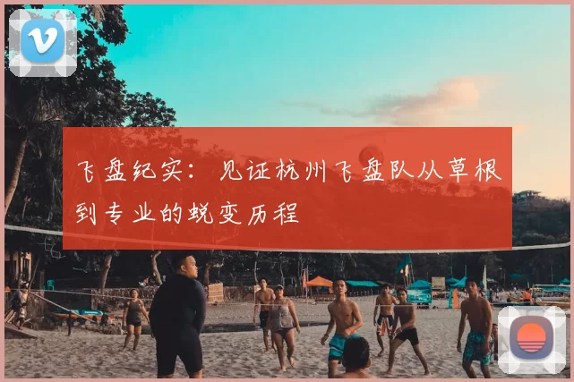 飞盘纪实：见证杭州飞盘队从草根到专业的蜕变历程