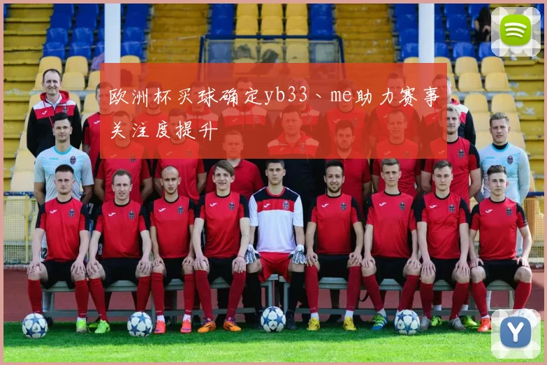 欧洲杯买球确定yb33丶me助力赛事关注度提升