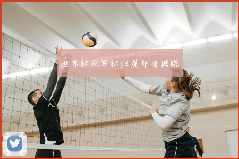 世界杯冠军杯归属即将揭晓