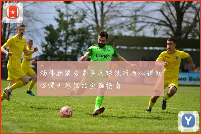 杨伟独家分享乒乓球技巧与心得助你提升球技的全面指南