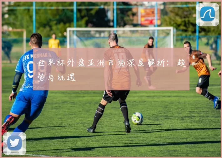 世界杯外盘亚洲市场深度解析:趋势与机遇