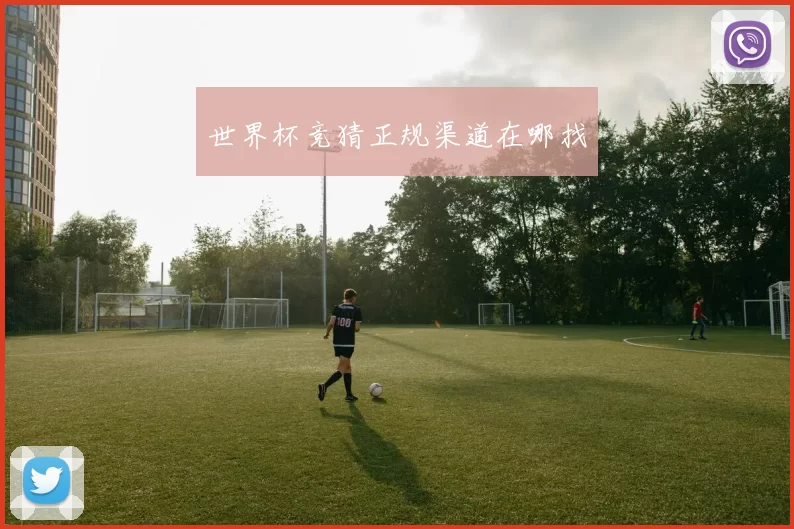 世界杯竞猜正规渠道在哪找