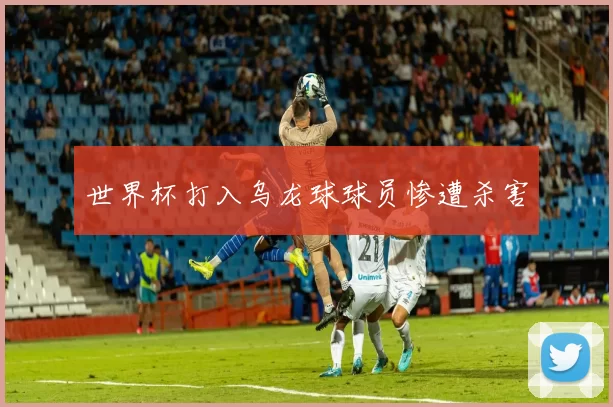 世界杯打入乌龙球球员惨遭杀害